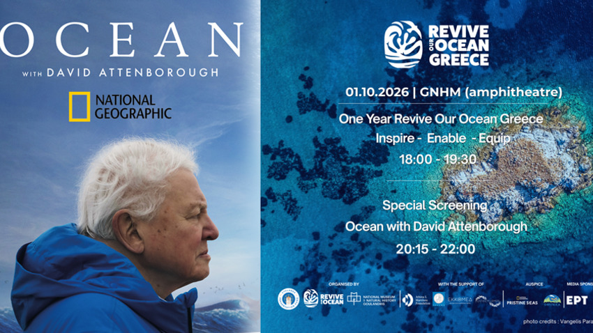 Ένας χρόνος Revive Our Ocean Greece  