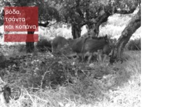 Ρόδα, τσάντα και κοπάνα