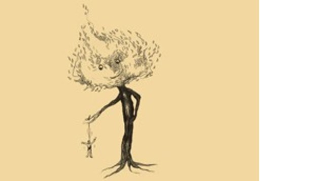 Moa Bones