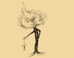 Moa Bones