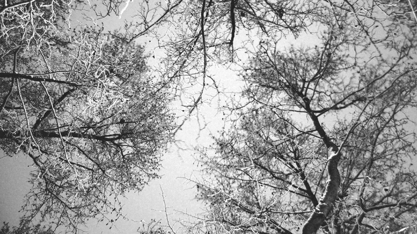 Winterreise σε 2 εκδοχές