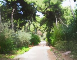 deWalk