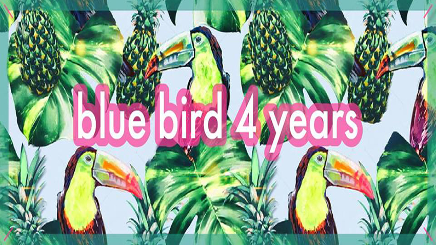 4 years Blue Bird