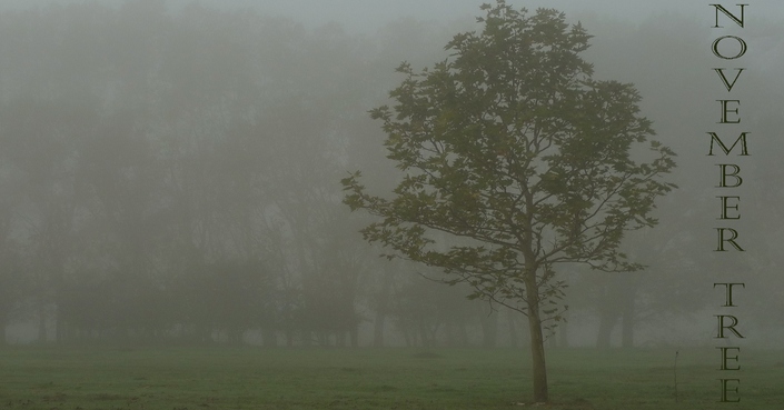 Νέα κυκλοφορία: Stathis Chouliaris – November Tree