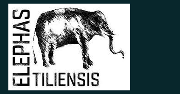 Άμλετ | Εργαστήριο Υποκριτικής 2023/24 | Elephas tiliensis
