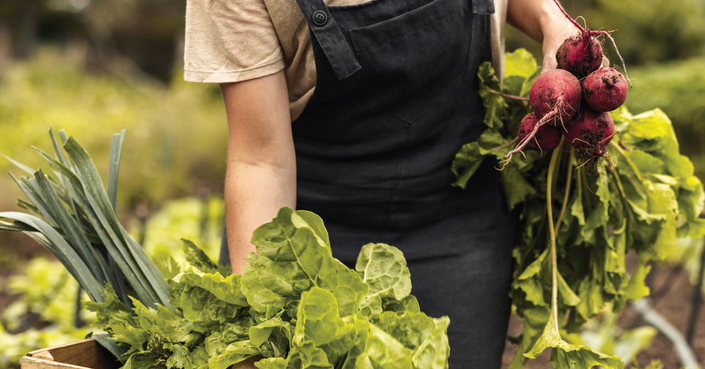  «Farm Food Future» | Από το χωράφι μέχρι το πιάτο: εκπαίδευση & mentoring