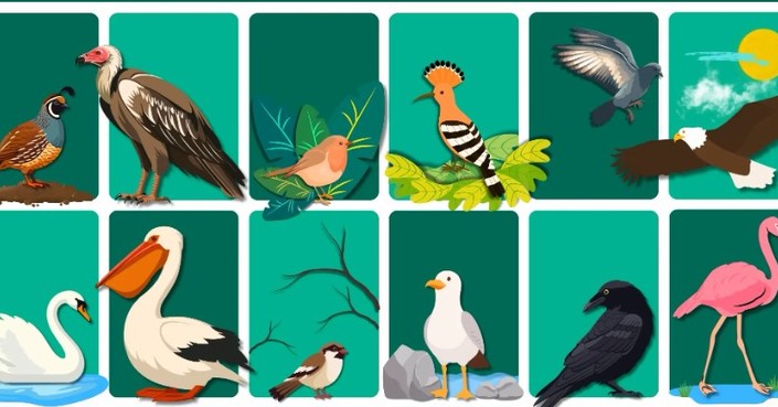 «Έχουν φτερά και πούπουλα» | 5ο Πανελλήνιος Μαθητικός Διαγωνισμός Ζωγραφικής 