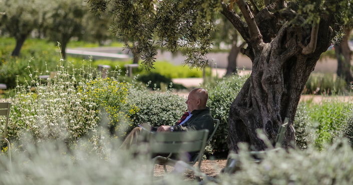 SNFCC Longevity Hub | Νέα πρωτοβουλία του ΚΠΙΣΝ για την ενεργό και υγιή γήρανση με βάση έρευνα του Εθνικού Κέντρου Κοινωνικών Ερευνών  με την υποστήριξη της NN Hellas 